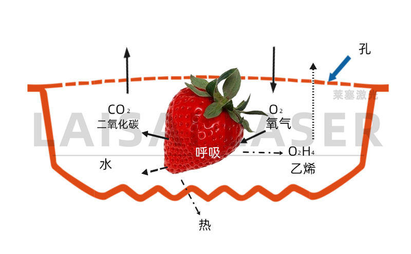 激光打孔??氣調果蔬保鮮包裝運用方案